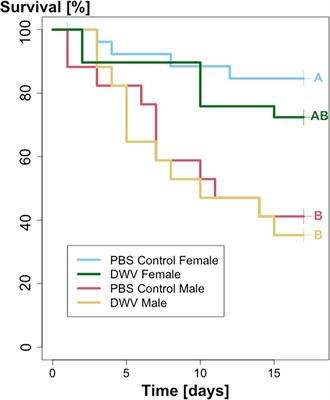 Deformed wing virus prevalence in solitary bees put to the test: an experimental transmission study